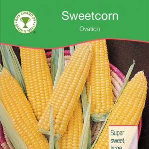 Sweetcorn Ovation F1
