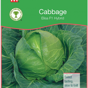 Cabbage Elisa F1