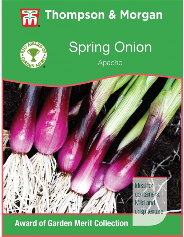 Onion Salad Apache