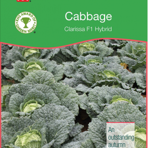 Cabbage Savoy Clarissa