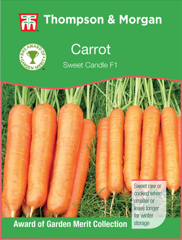 Carrot Sweet Candle F1
