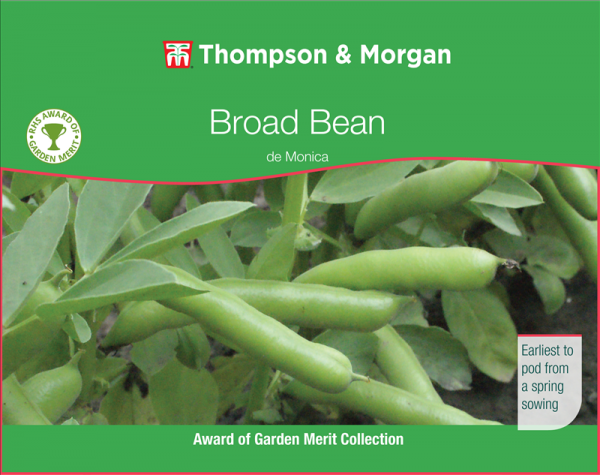 Broad Bean de Monica.