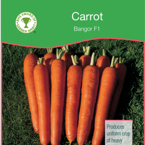 Carrot Bangor