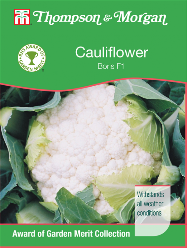 Cauliflower Boris F1