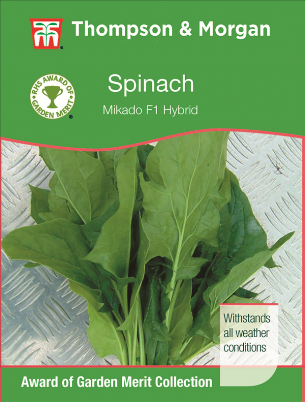 Spinach Mikado F1