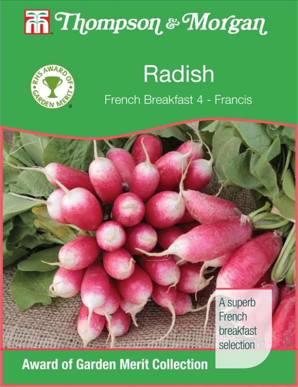 Radish French Breakfast 4