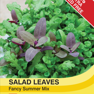 Salad Leaves - Fancy