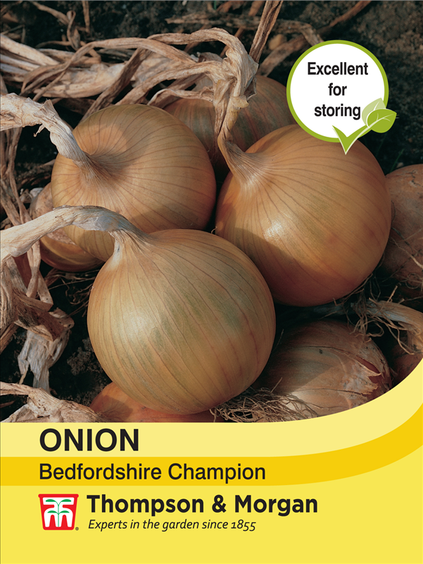 Onion Bedfordshire Champion