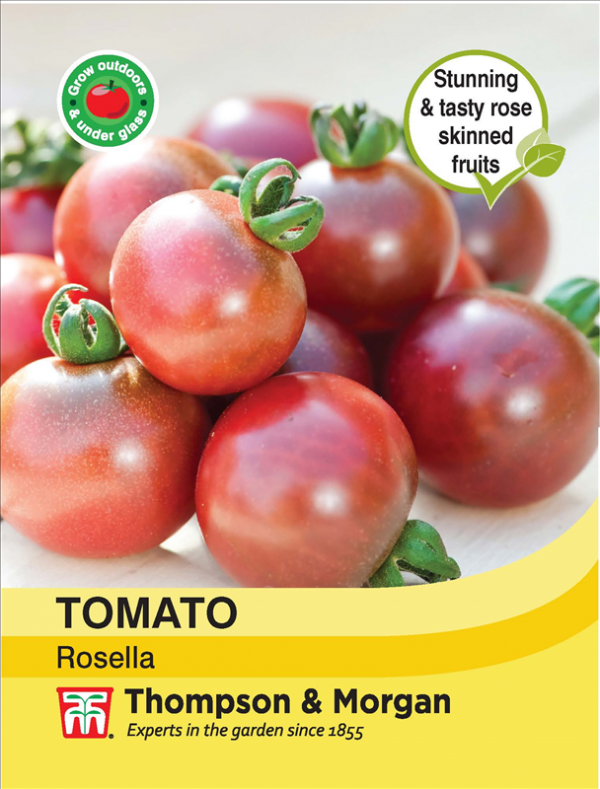 Tomato Rosella