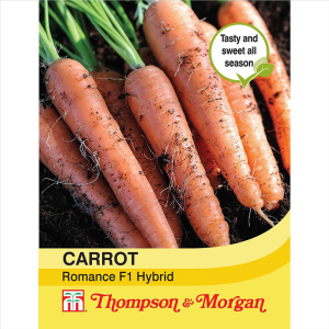 Carrot Romance