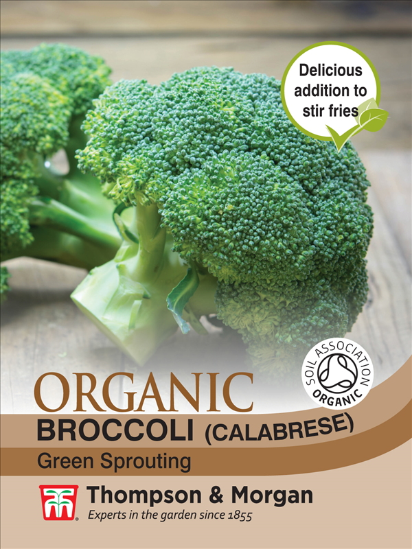 Broccoli Green (Organic)