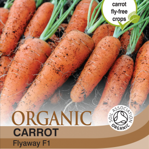Carrot Flyaway (Organic)
