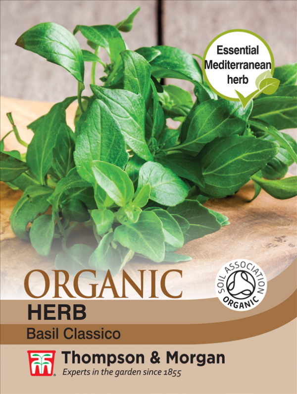 Herb Basil Classico (Organic)