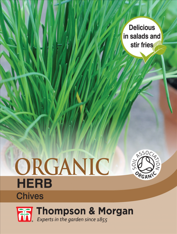 Herb Chives (Organic)