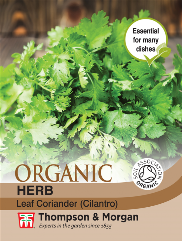 Herb Coriander Leaf (Organic)