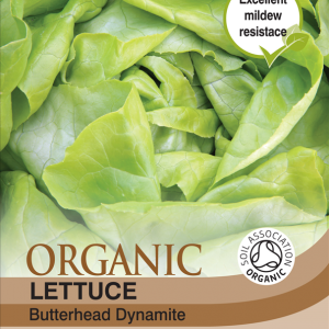 Lettuce Sylvesta  (Organic)