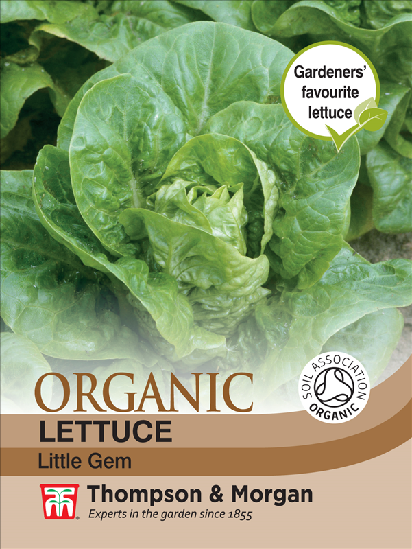 Lettuce Little Gem (Organic)