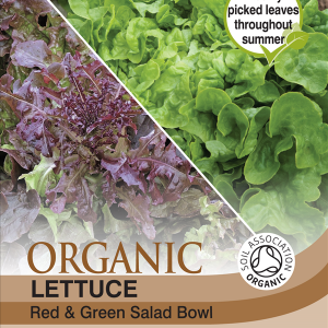 Lettuce Salad Bowl (Organic)
