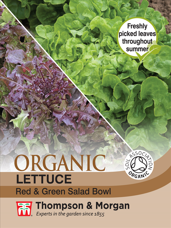 Lettuce Salad Bowl (Organic)