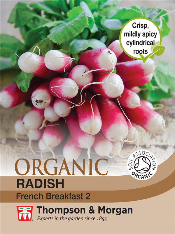 Radish French (Organic)