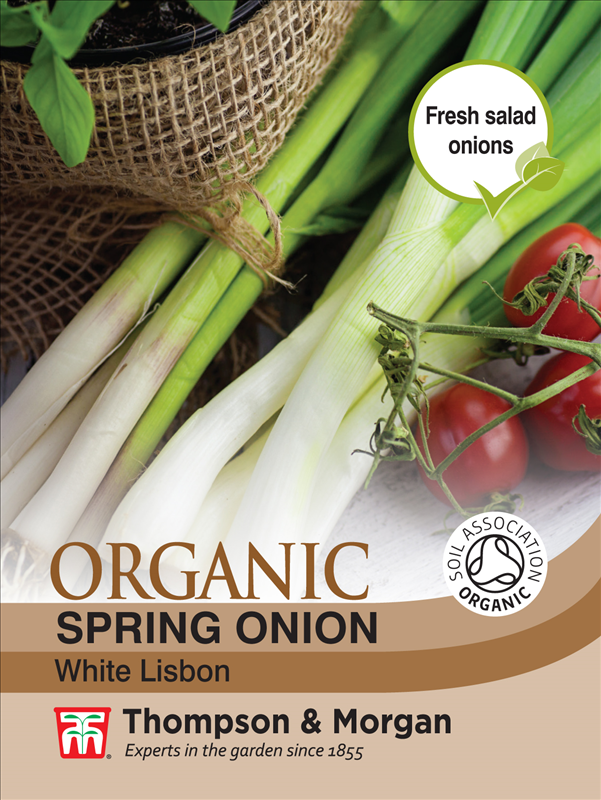 Spring Onion White Lisbon Org