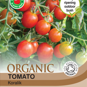 Tomato Koralik (Organic)