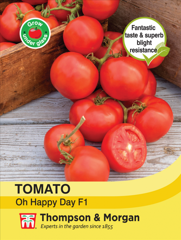 Tomato Oh Happy Day F1