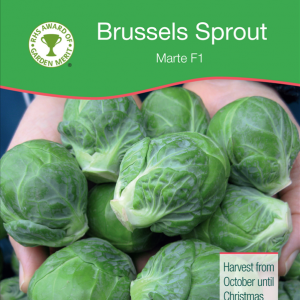 Brussels Sprout Marte F1