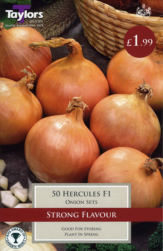 Onion Hercules