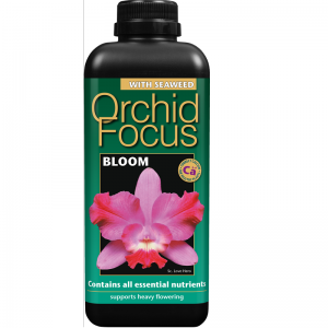 Orchid Bloom 1lt
