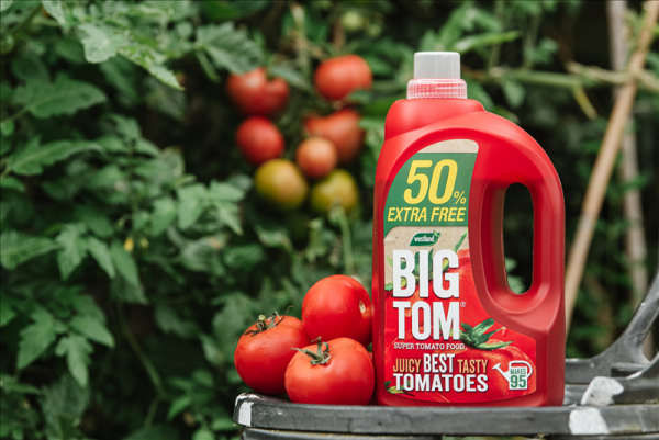Westland BIG TOM Super Tomato Food 1.25L + 50%