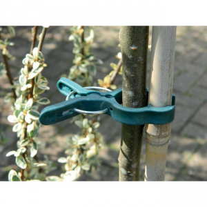 Large Spring Plant Clips (5)