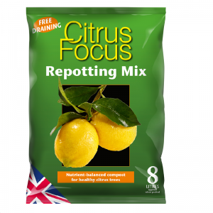 Citrus Focus Repot Mix 8l