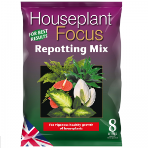 Houseplant Pot Mix 8L