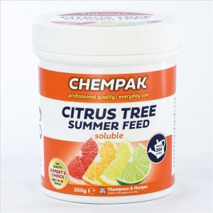 Chempak Citrus Summer Food