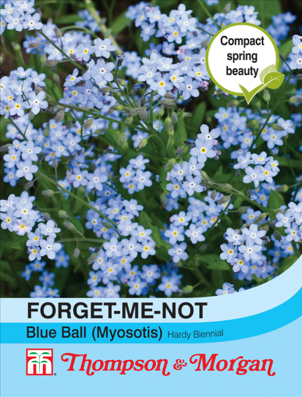 Forget-me-not Blue Ball