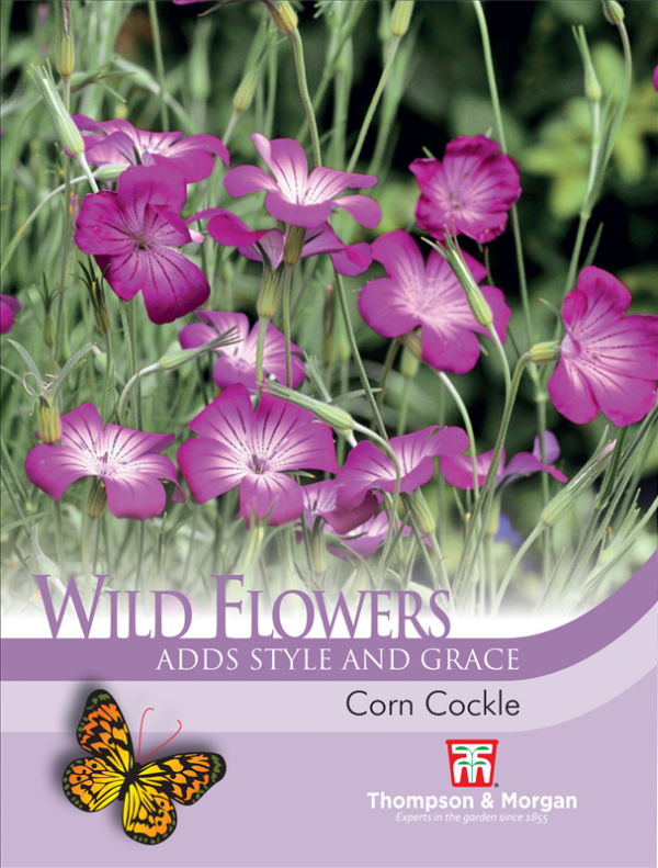 Wild Flower Corn Cockle