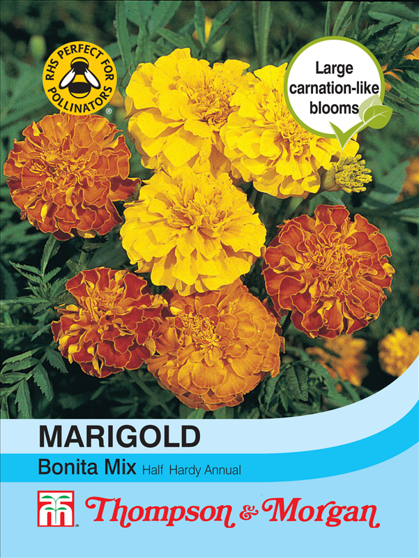 Marigold Bonita Mixed (French)