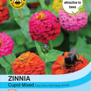 Zinnia Cupid Mixed