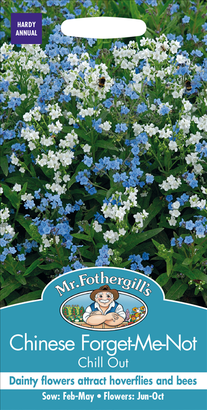 Chinese Forget-Me-Not Chill Out