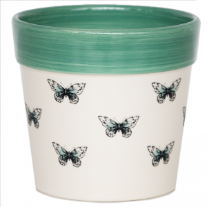 Cacti Planter Butterfly 7cm