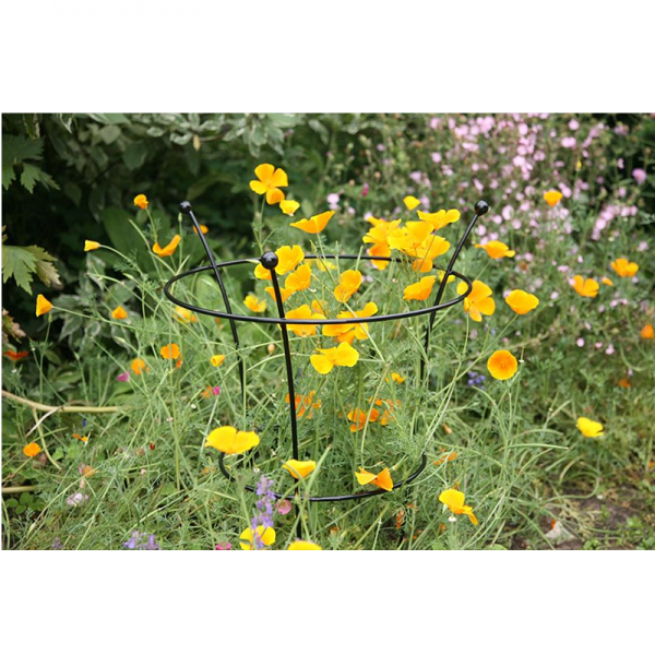 Herbaceous Support Small - Twin Pack