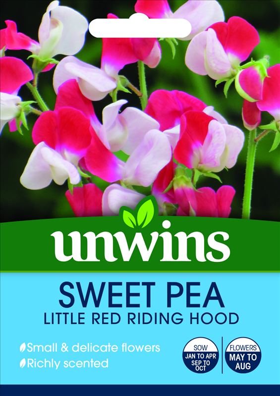 Sweet Pea Little Red Riding Hood