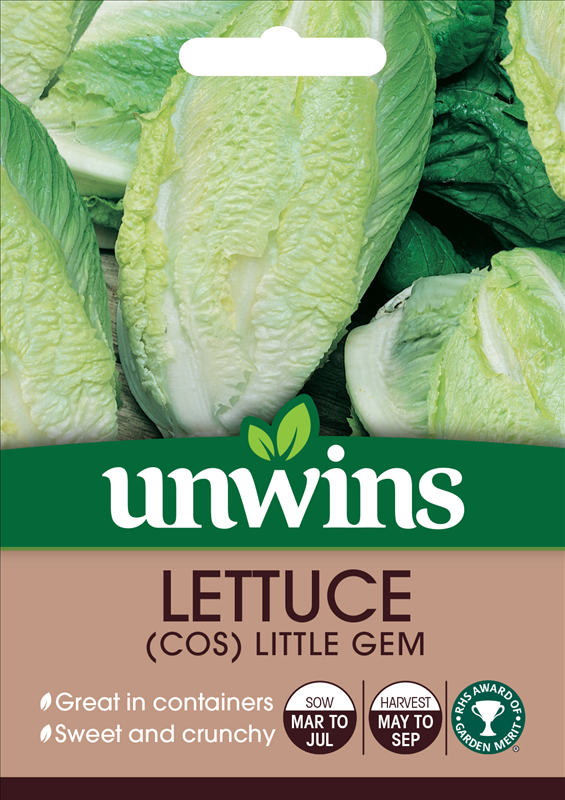 Lettuce (Cos) Little Gem