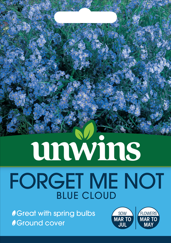 Forget Me Not Blue Cloud
