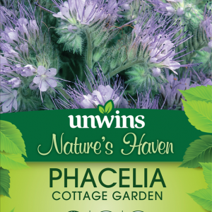 Phacelia Cottage Garden