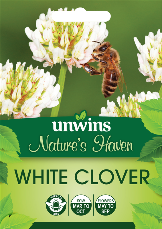 Natures Haven White Clover