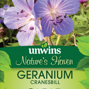 Cranesbill Geranium
