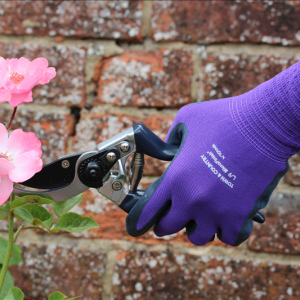 Glove Purple Small