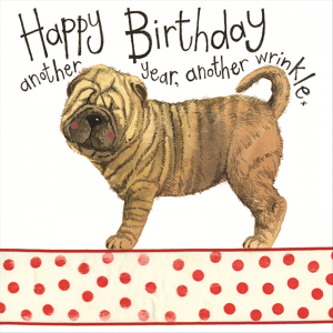 Wrinkles Birthday Card